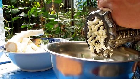 маринованный хрен на зиму