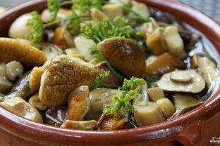 Маринованные белые грибы без стерилизации