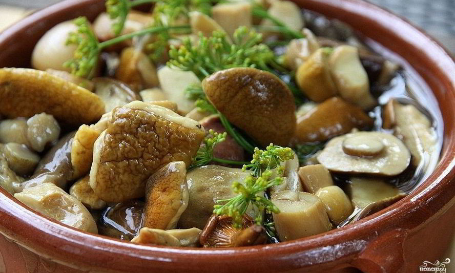 Рецепт маринованные белые грибы без стерилизации