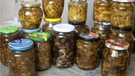 маринованные белые грибы без стерилизации