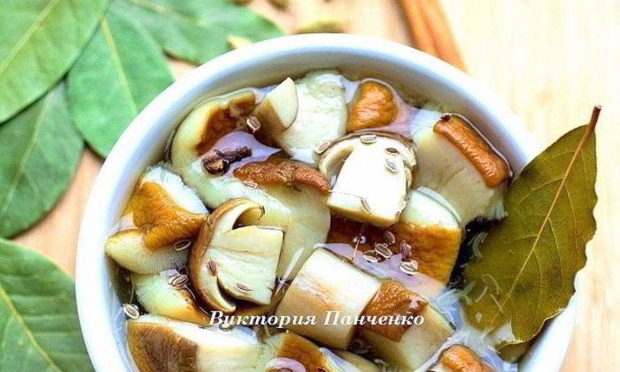 Рецепт маринованные белые грибы