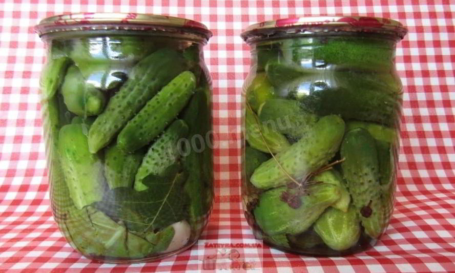 Рецепт маринованные корнишоны с чесноком и хреном