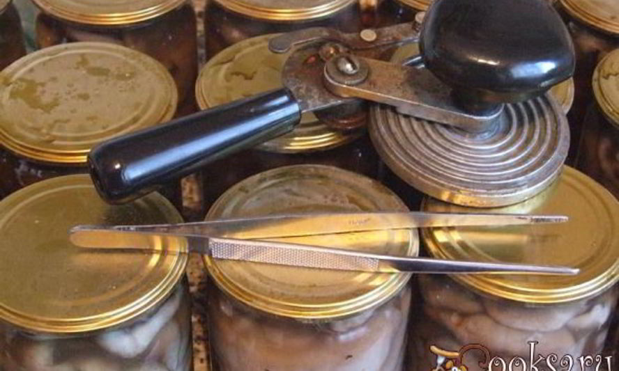 Рецепт маринованные маслята на зиму