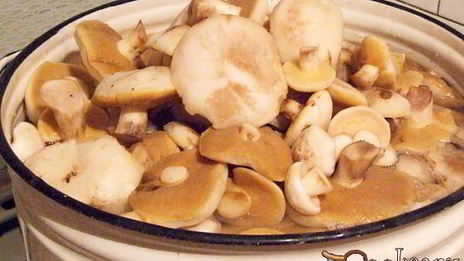 маринованные маслята на зиму