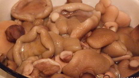маринованные маслята на зиму
