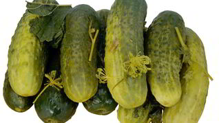 Маринованные огурцы без стерилизации