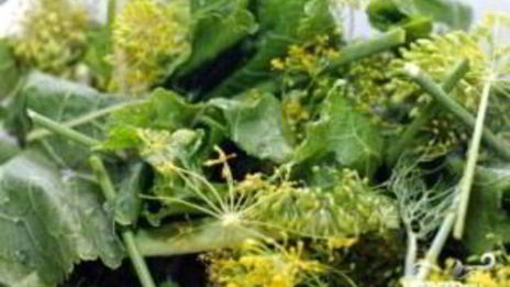 маринованные огурцы без стерилизации