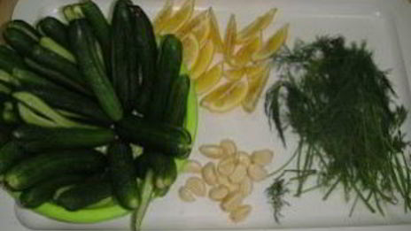 маринованные огурцы с укропом