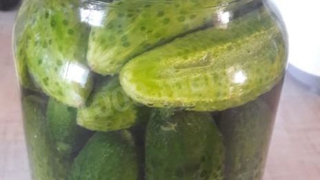 маринованные огурцы в банках с гвоздикой
