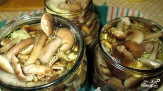 Маринованные опята без уксуса
