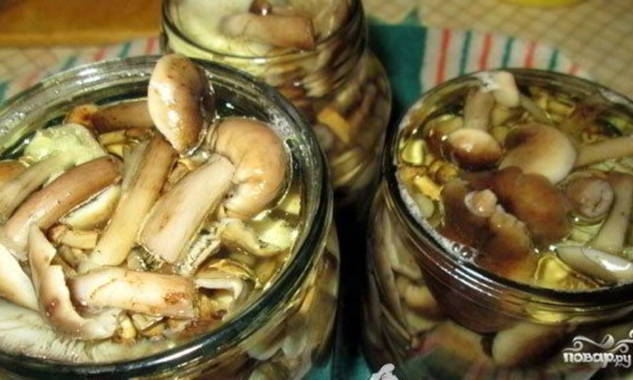 Рецепт маринованные опята без уксуса