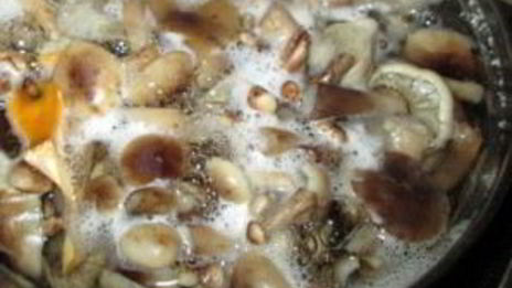 маринованные опята без уксуса