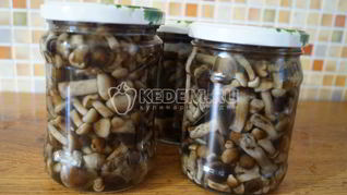 Маринованные опята Малыши в банке