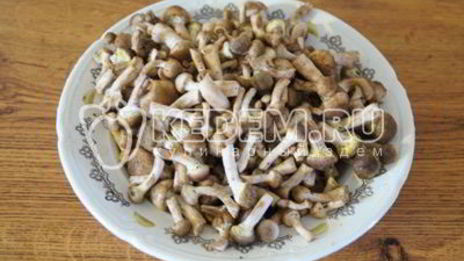 маринованные опята малыши в банке