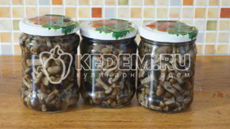маринованные опята малыши в банке