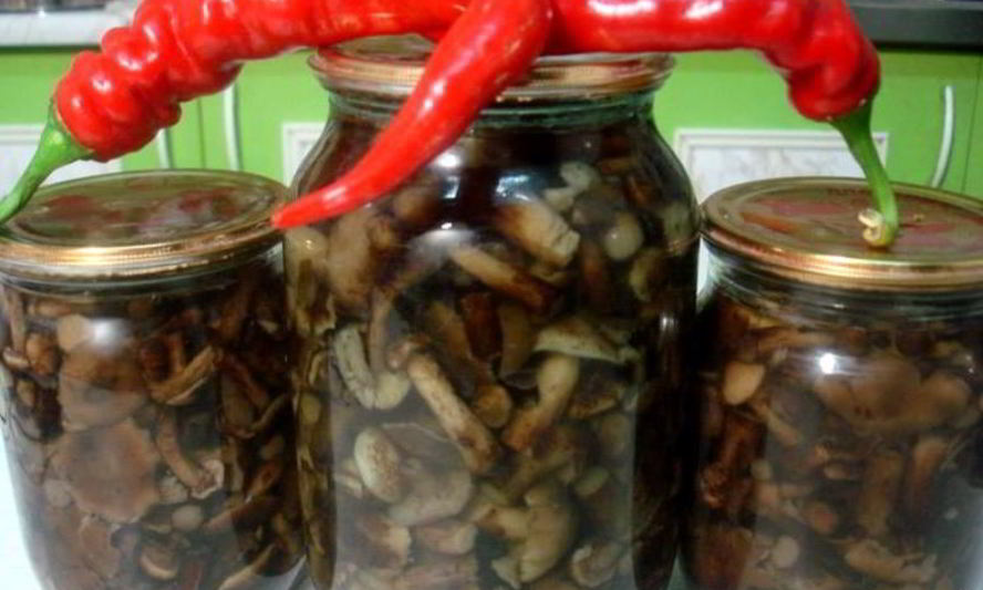 Рецепт маринованные опята с гвоздикой