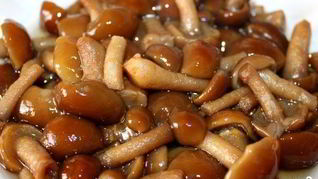 Маринованные опята в мультиварке