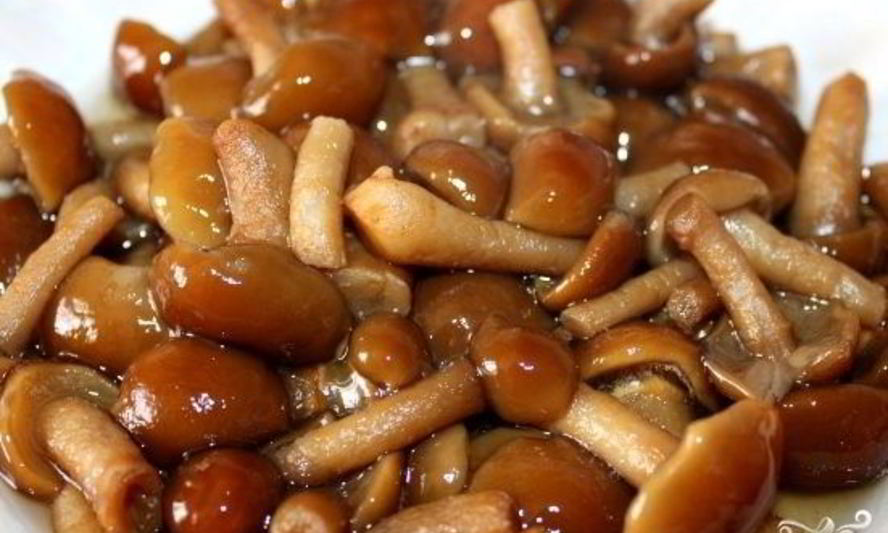 Рецепт маринованные опята в мультиварке