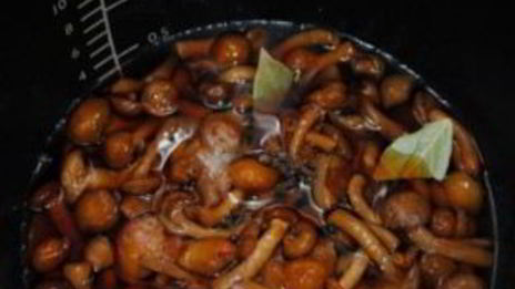 маринованные опята в мультиварке