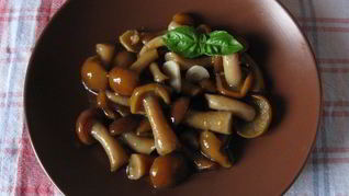 Маринованные опята