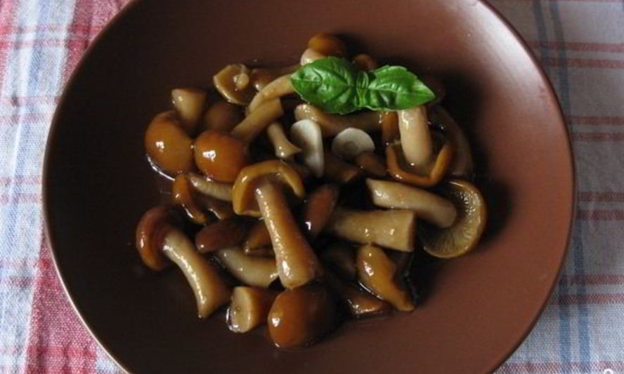 Рецепт маринованные опята