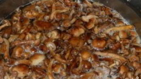 маринованные опята