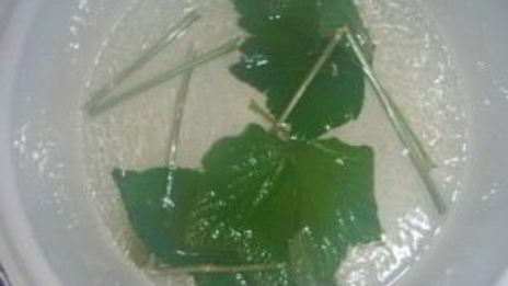 маринованные патисоны с лимонной кислотой