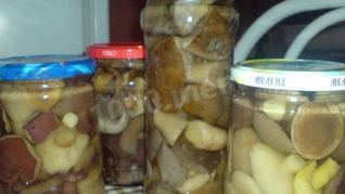 Маринованные подберезовики на зиму