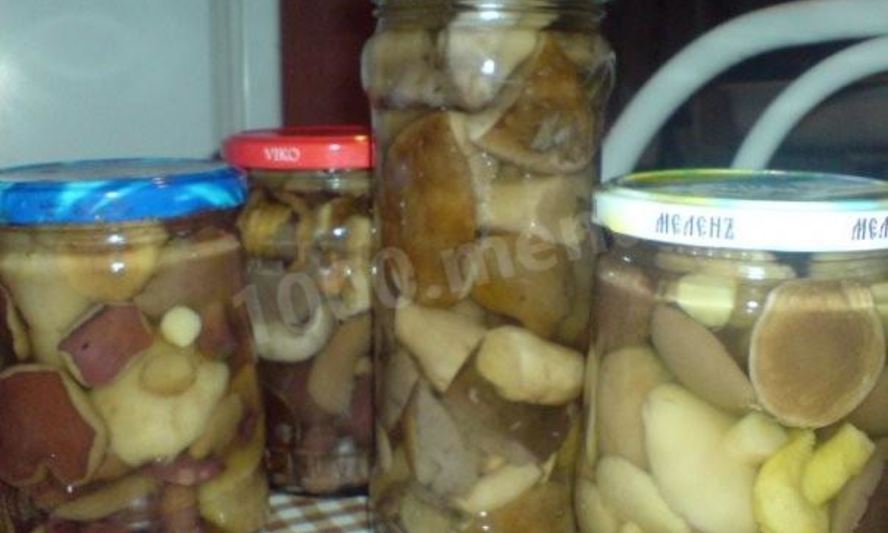 Рецепт маринованные подберезовики на зиму
