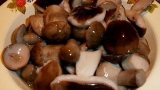 Маринованные подберезовики