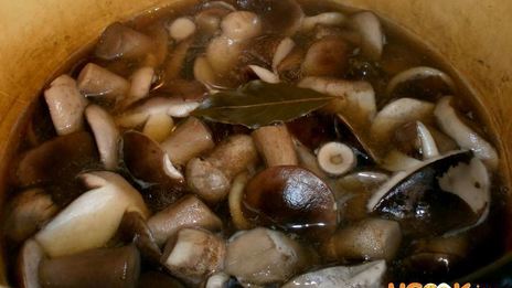 маринованные подберезовики
