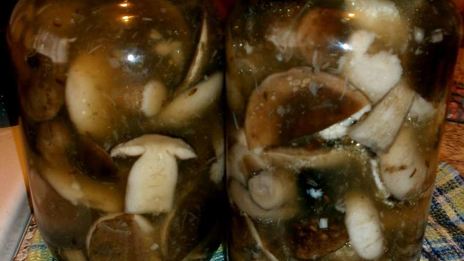 маринованные подберезовики
