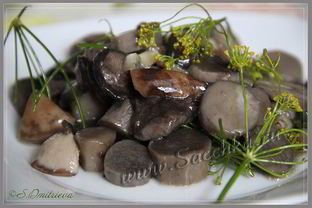 Маринованные подосиновики