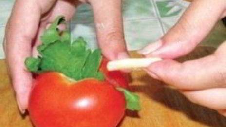 маринованные помидоры