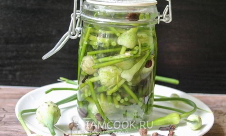 Рецепт маринованные стрелки чеснока