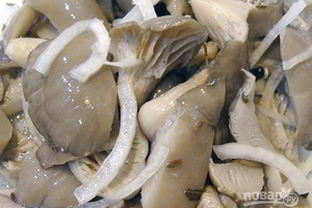 Маринованные вешенки