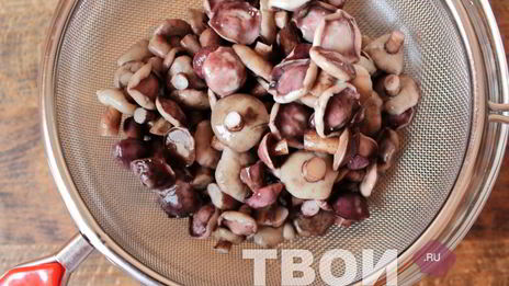 маслята маринованные