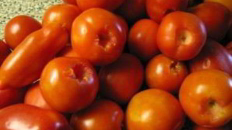 помидоры маринованные с чесноком