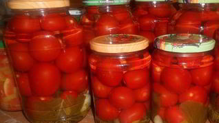 Помидоры маринованные