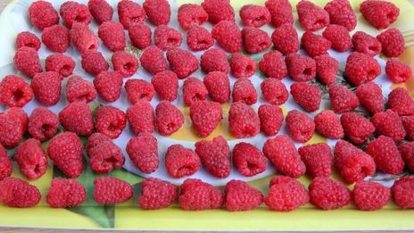 мороженные ягоды на зиму