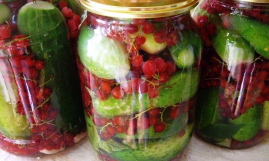 Рецепт огурцы на зиму со смородиной