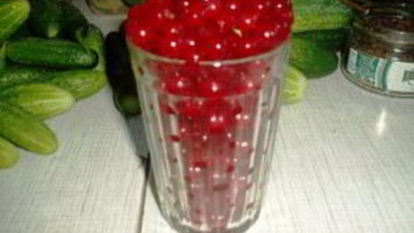 огурцы на зиму со смородиной