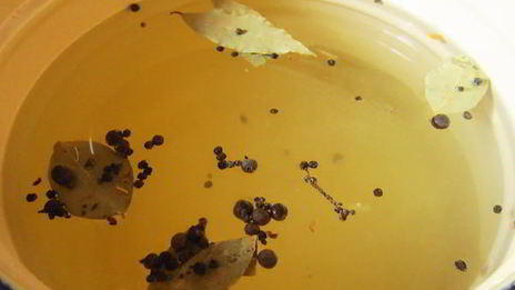 перцы для фарширования