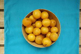 Повидло из алычи