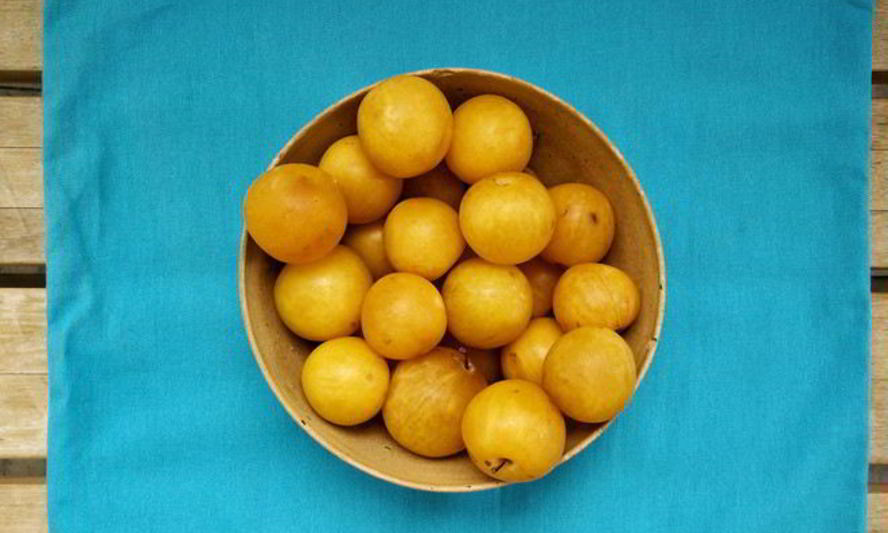 Рецепт повидло из алычи