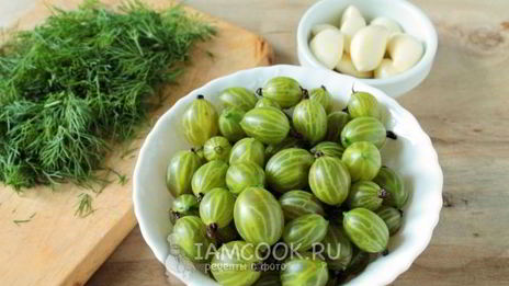 приправа из крыжовника с чесноком на зиму