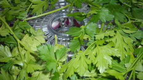 приправа любимая