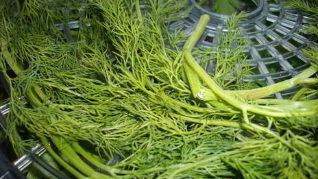 приправа любимая