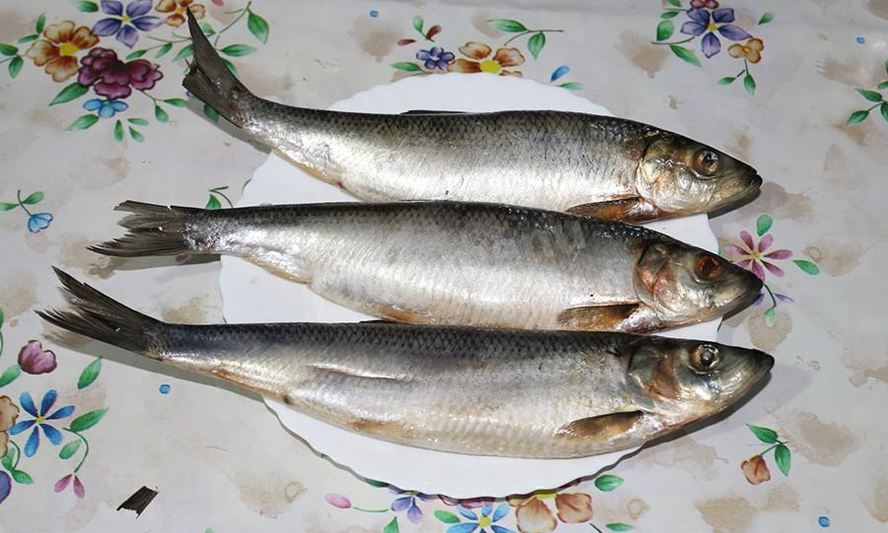 Рецепт домашняя соленая селедка