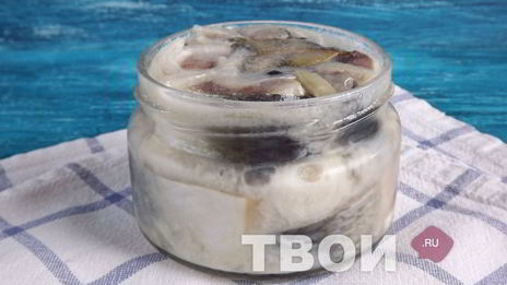 малосольная сельдь